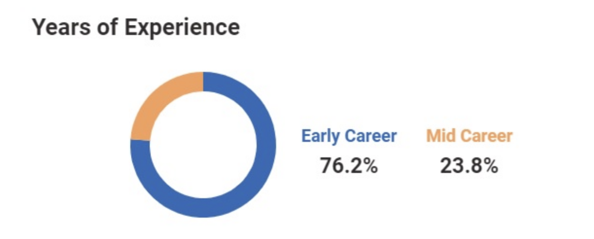 Years of expirience developers in Ukraine