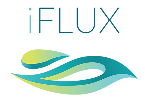 iflux strtup